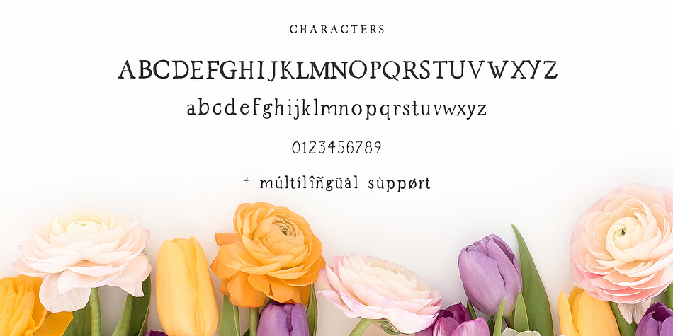 Spring Market Font