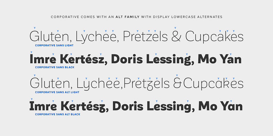 Displaying the beauty and characteristics of the Corporative Sans font family.