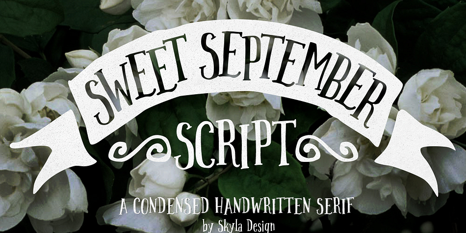 Sweet September Script is a condensed handwritten serif.