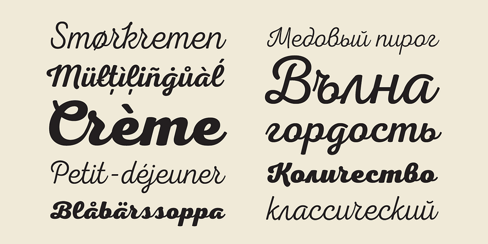 Displaying the beauty and characteristics of the Nexa Script font family.