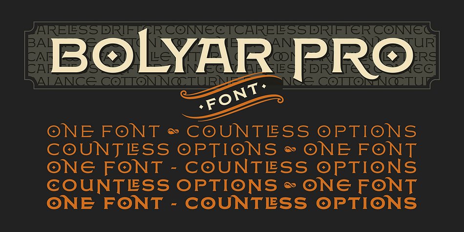 Displaying the beauty and characteristics of the FM Bolyar Pro font family.