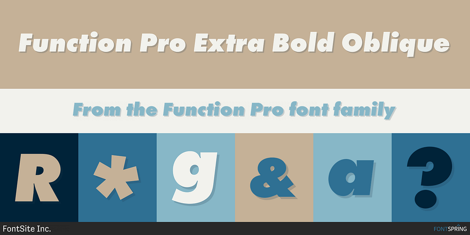 Function Pro Extra Bold Oblique Font