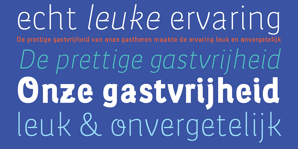 Displaying the beauty and characteristics of the Leuk font family.