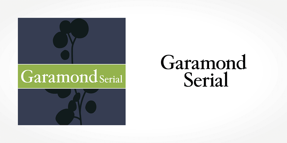 Displaying the beauty and characteristics of the Garamond Serial font family.