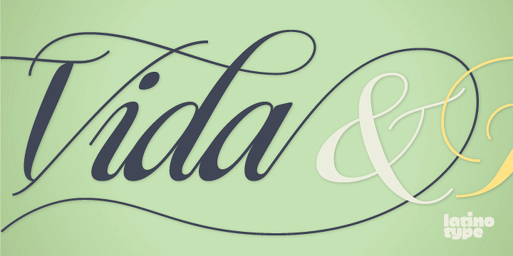 Displaying the beauty and characteristics of the Ragazza Script font family.