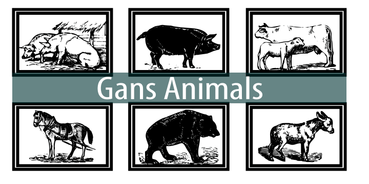 Displaying the beauty and characteristics of the Gans Animals font family.