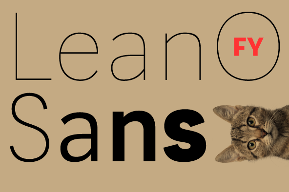 Displaying the beauty and characteristics of the LeanO Sans FY font family.