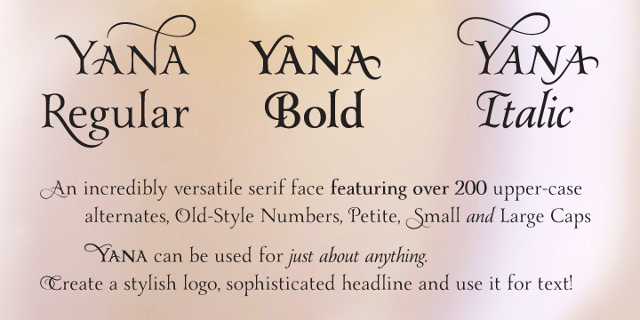 We sat at an outdoor patio eating and discussing fonts.