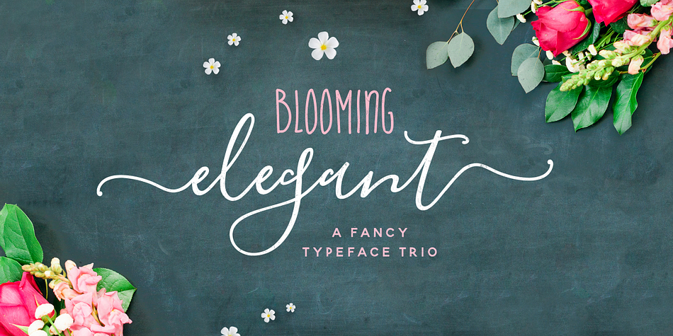 Blooming Elegant Script Font is a hand-lettered modern calligraphy script with a playful yet elegant nature.