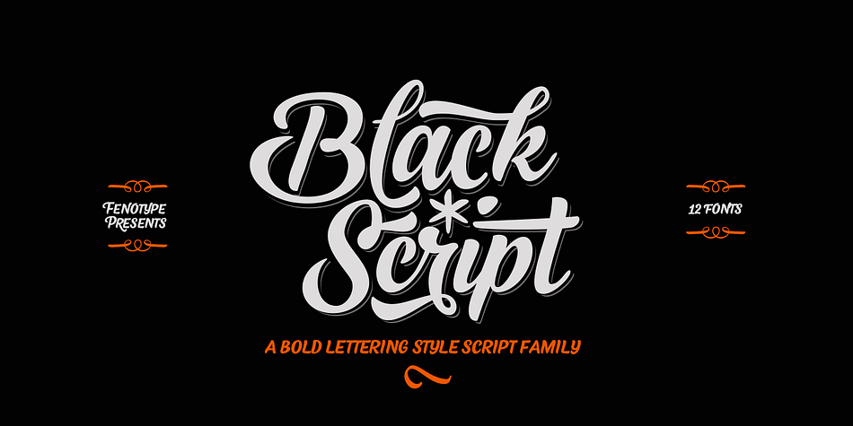 Displaying the beauty and characteristics of the Black Script font family.