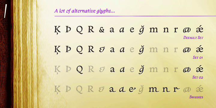 The fonts are available in OpenType PS format and have extended character set to support CE, Baltic, Turkish as well as Western European languages.