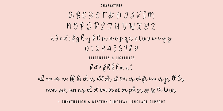 Delicate Whimsy Font