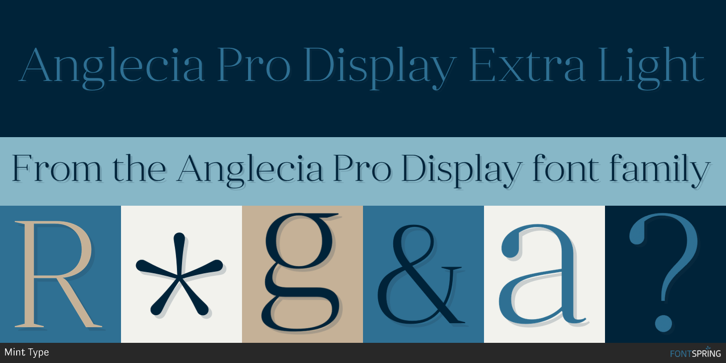 Fonts similar to Anglecia Pro Display