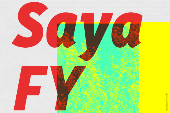 Displaying the beauty and characteristics of the Saya FY font family.