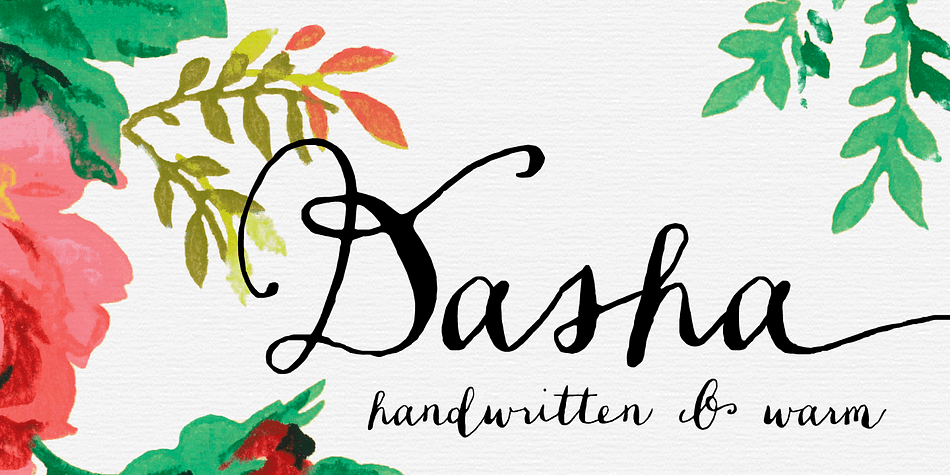 Displaying the beauty and characteristics of the Dasha font family.