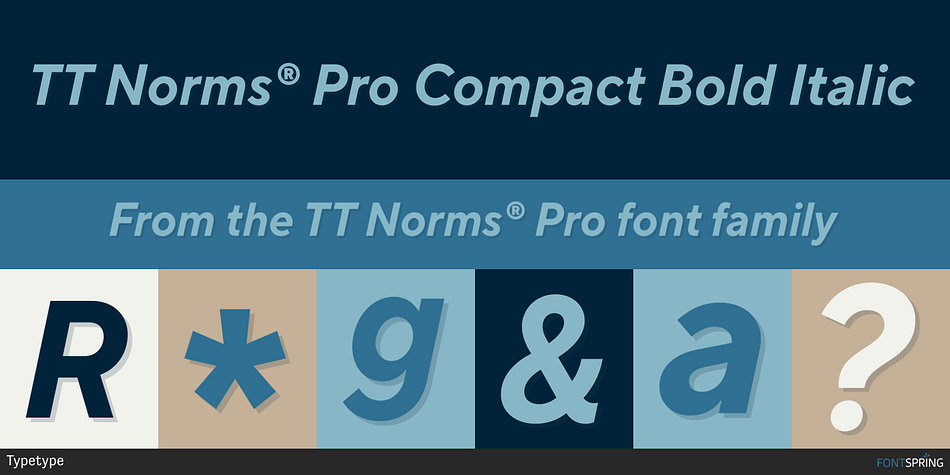 TT Norms® Pro Compact Bold Italic Font