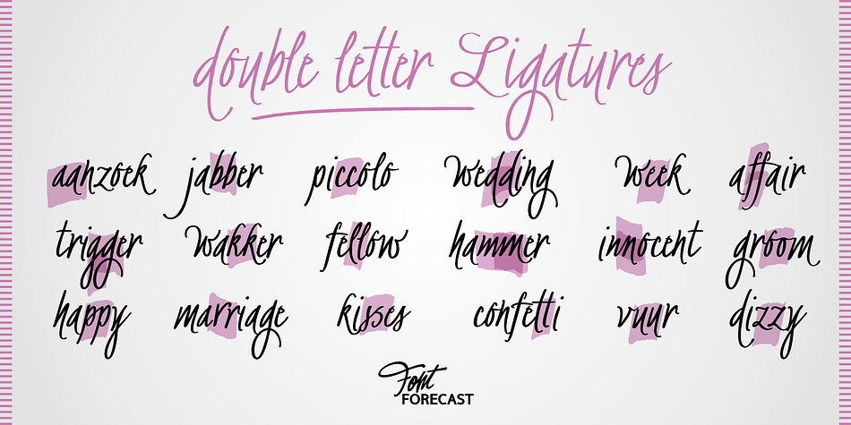 BachelorScript font family sample image.