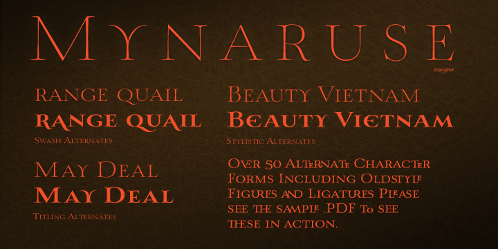 Mynaruse is an elegant and regal roman inscriptional titling family.