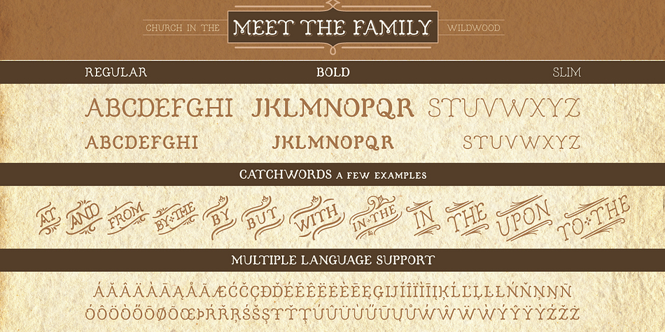 The Regular weight works together with fonts in the Shadow Family and the Inspired Family, if you wish to apply separate colors or effects to the shadow.