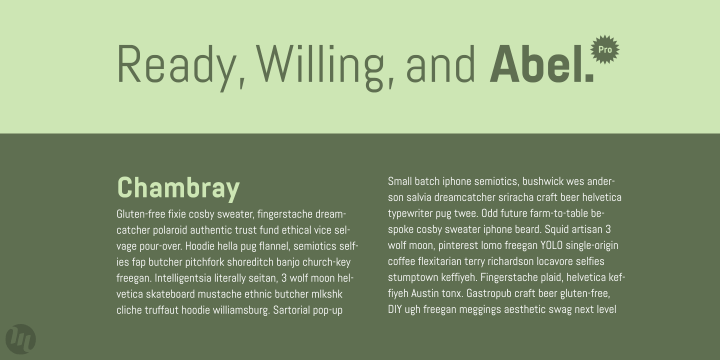 Abel is a modern interpretation of the condensed flat-sided sans serif.