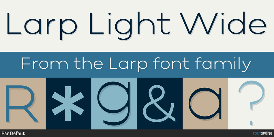 Larp Light Wide Font