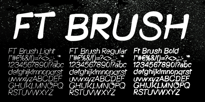 Displaying the beauty and characteristics of the FT Brush font family.