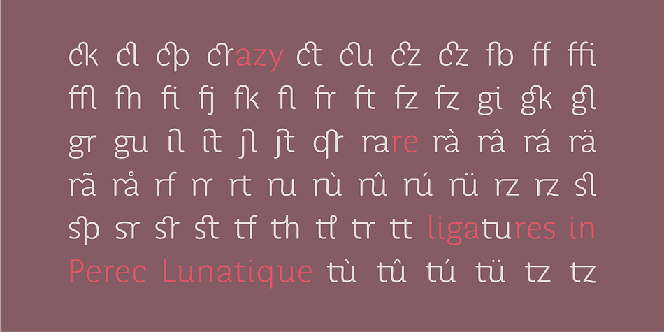 With a more delicate spirit than that of a sans grotesque Perec performs well not only in display sizes where elegance and flair are needed, but also in text sizes as its open counters make it comfortably readable.