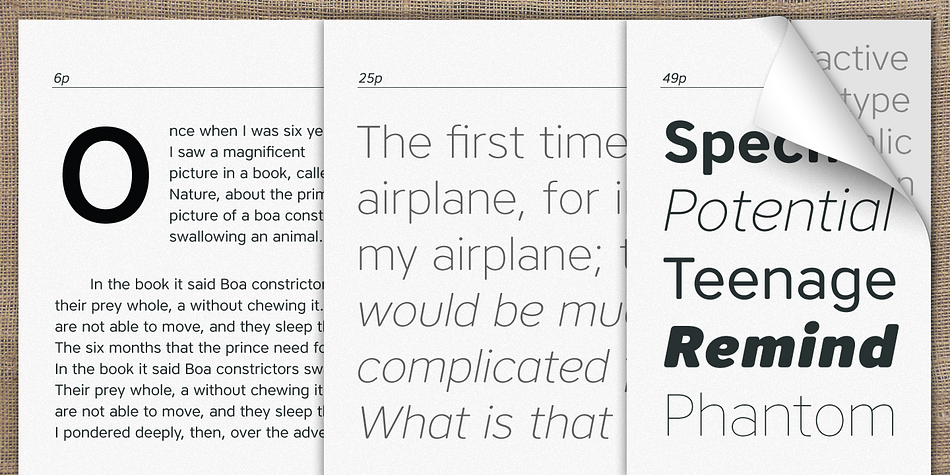 The spaces between individual letter forms are precisely adjusted to create the perfect typesetting.