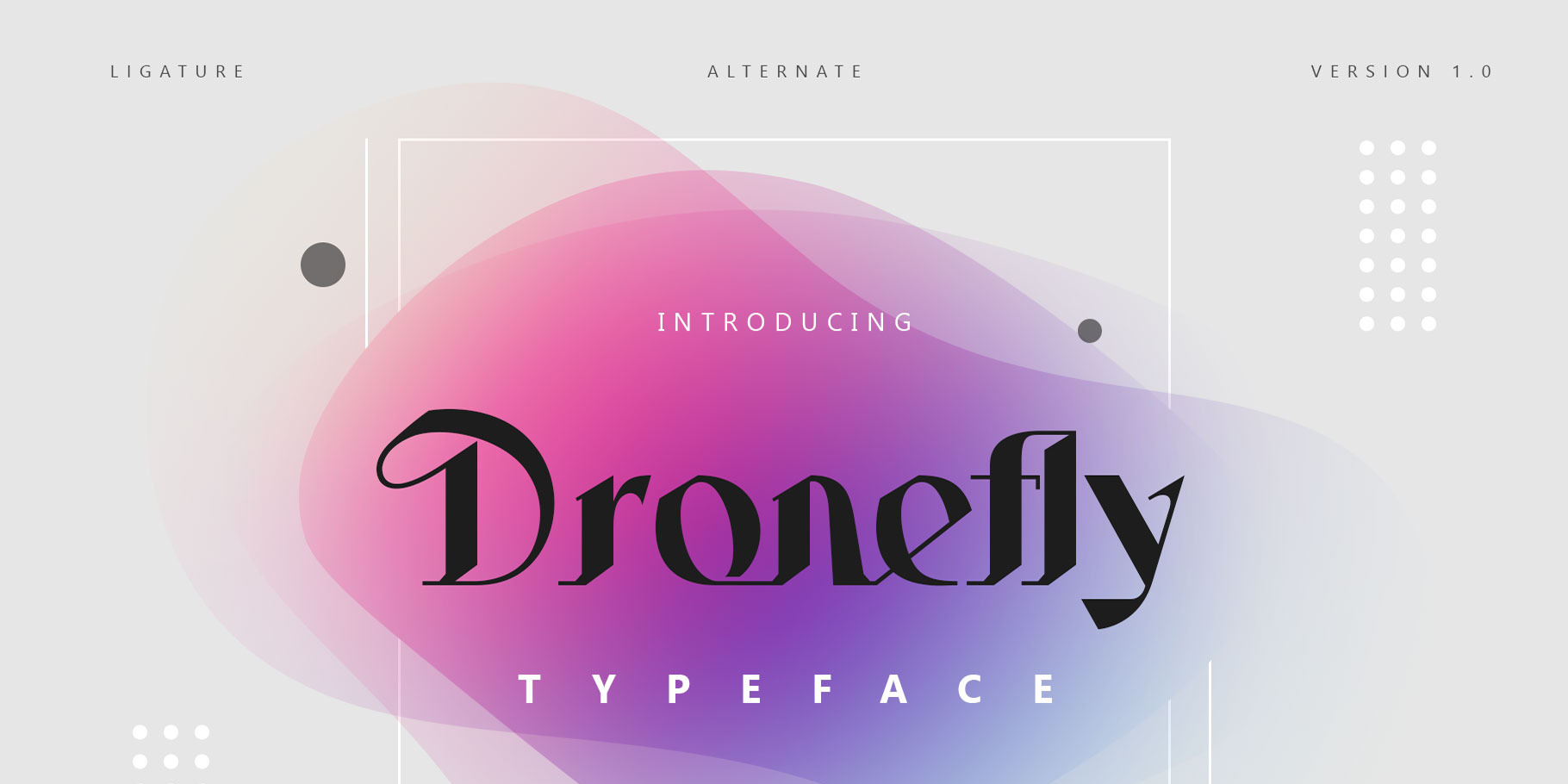 Dronefly