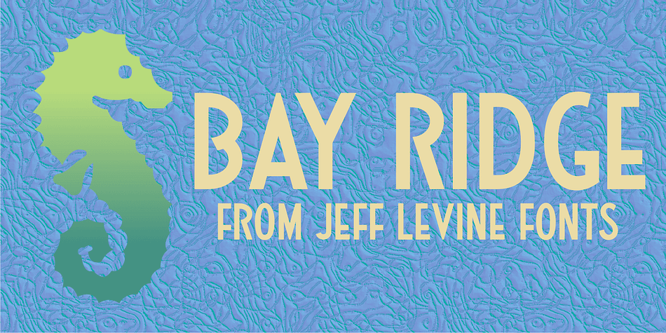 Bay Ridge JNL, modeled from vintage sheet music lettering, is named for a neighborhood in the Southwest corner of the borough of Brooklyn, New York.
