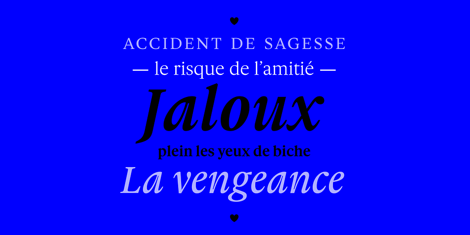 Gauthier Next FY font family sample image.