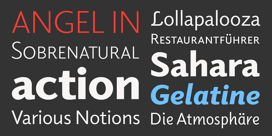 Together they form a sans and serif superfamily with a wide range of variations for editorial and display use.