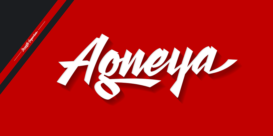 Agneya is a calligraphic script font, inspired by urban street art.
