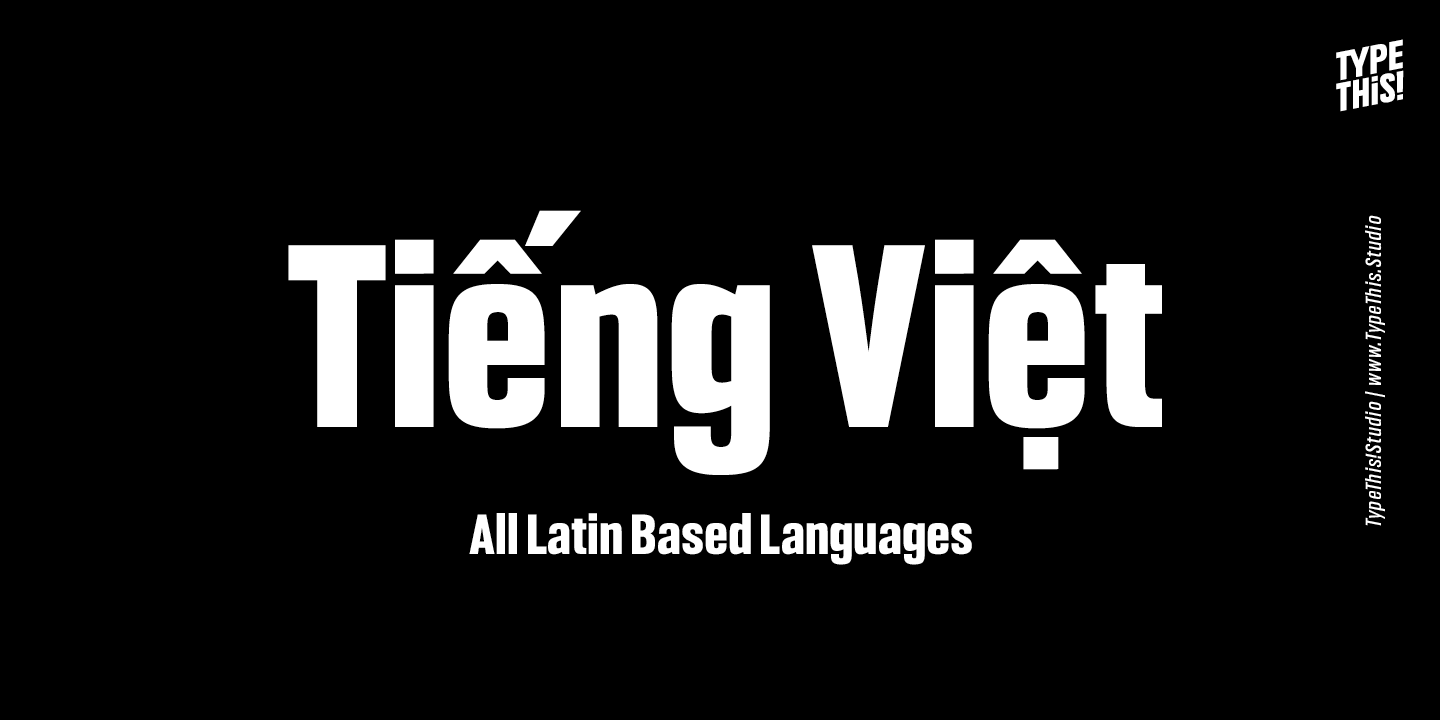 Type Tiếng Việt Là Gì? Định Nghĩa, Ứng Dụng và Các Loại Type Phổ Biến