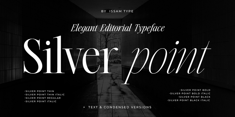 Silver Point Text Condensed Bold Font
