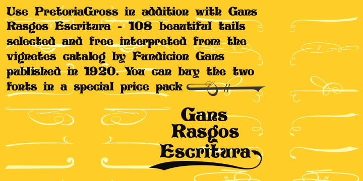 Highlighting the Pretoria Gross font family.