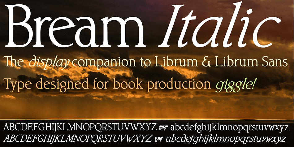 Bream is a 2-font Display family specifically constructed for its use in book design.