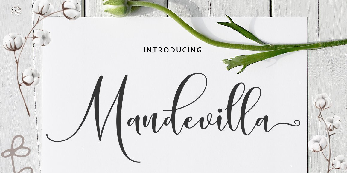 Mandevilla Script