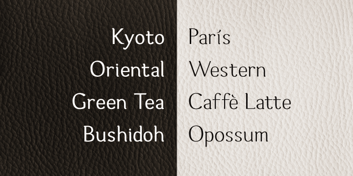 During the process of creating Hideko, I attempted to make a font only for oriental use, but the result is a font with versatile uses.