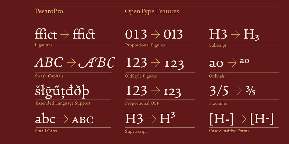 All weights contain ligatures, proportional lining figures, tabular lining figures, proportional old style figures, lining old style figures, matching currency symbols, fraction- and scientific numerals and elegant swash captitals for all italic styles.