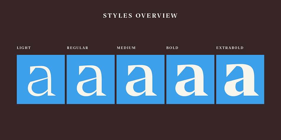 The tops of uppercase letters, numerals, and ascenders all align with one another, and all of the fonts feature large diacritics.