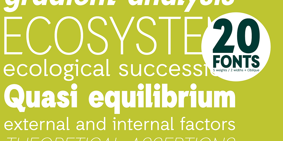 Emphasizing the popular Auxilia font family.