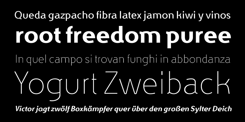 TCC Sans font family example.