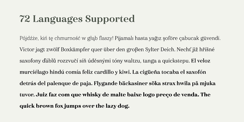 This new face from insigne Design takes a modern twist on the high-contrast typeface genre known as the Didone.