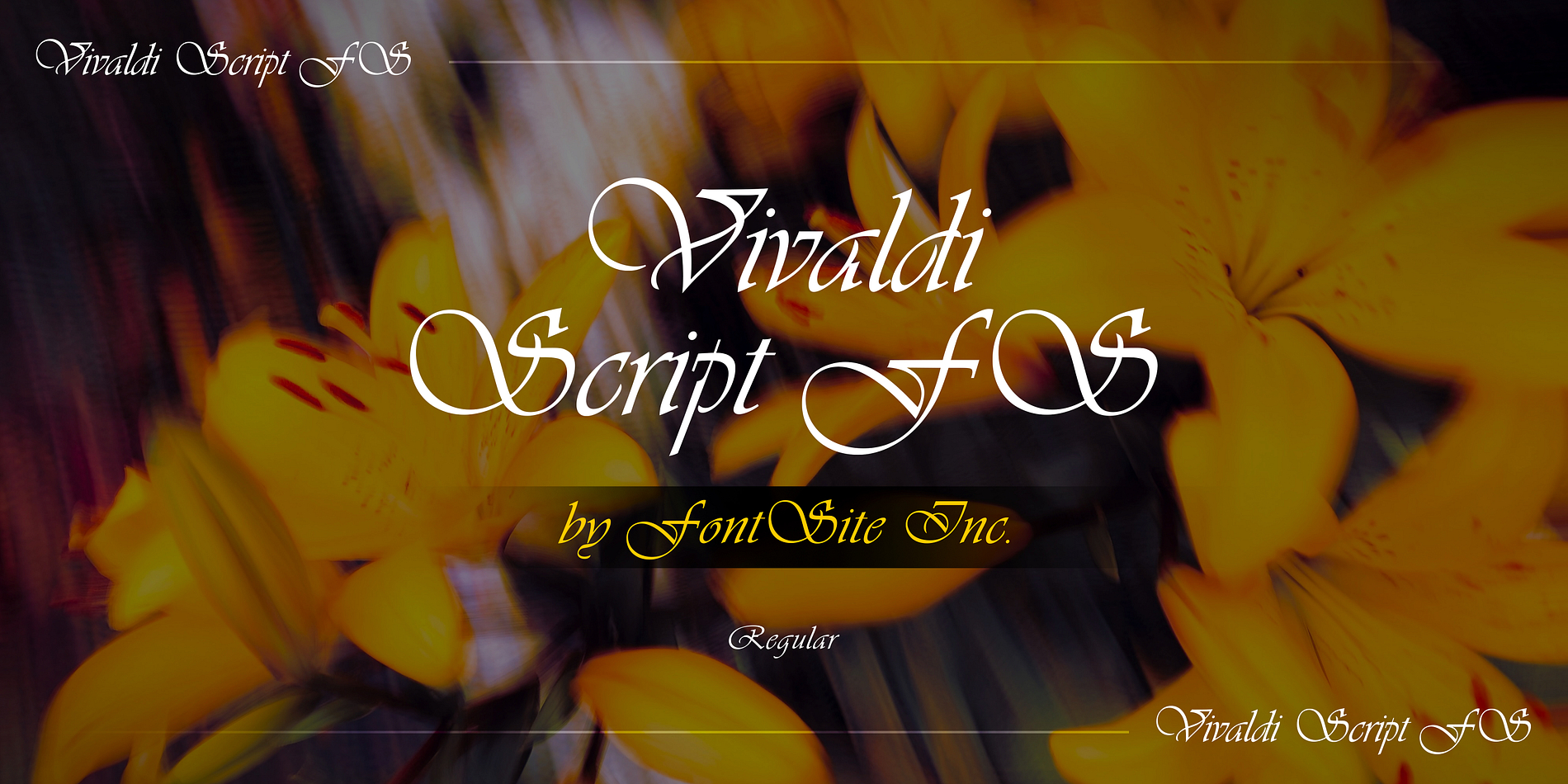 Vivaldi Script FS