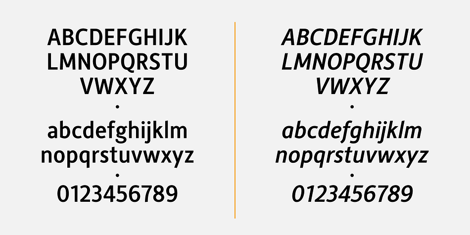 Displaying the beauty and characteristics of the Alber New font family.
