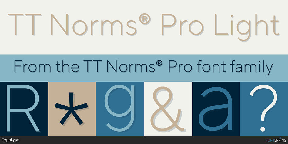 TT Norms® Pro Light Font