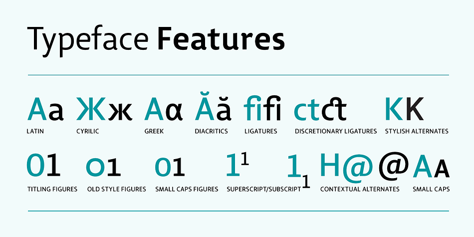 It features a large complement of ligatures, lining and old-style figures, expert characters, dingbats (arrows, brackets, and symbols for both Regular weights).