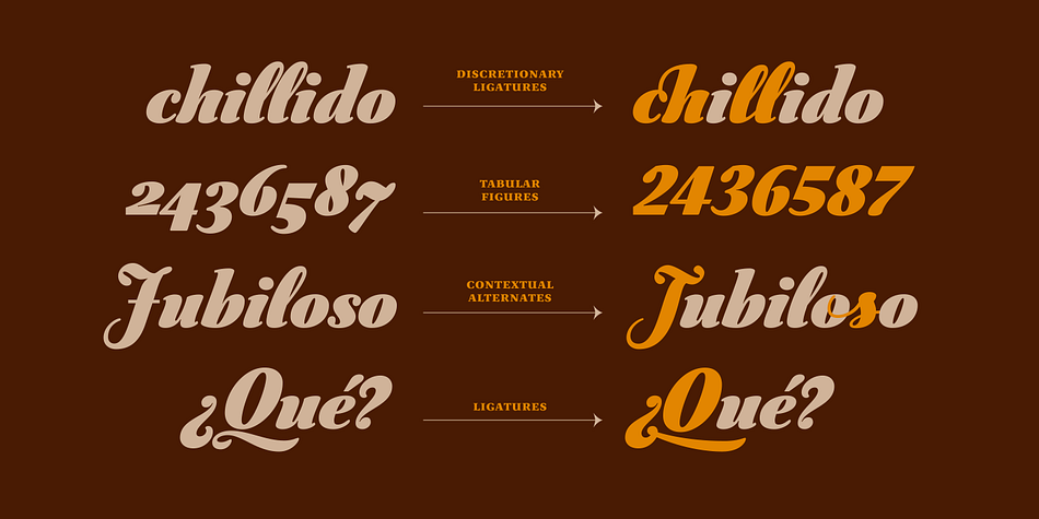 Highlighting the Australis Pro Swash font family.