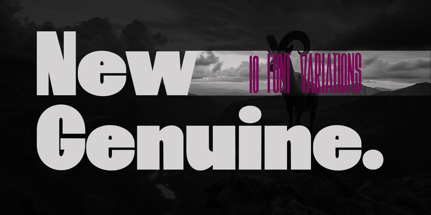 New Genuine